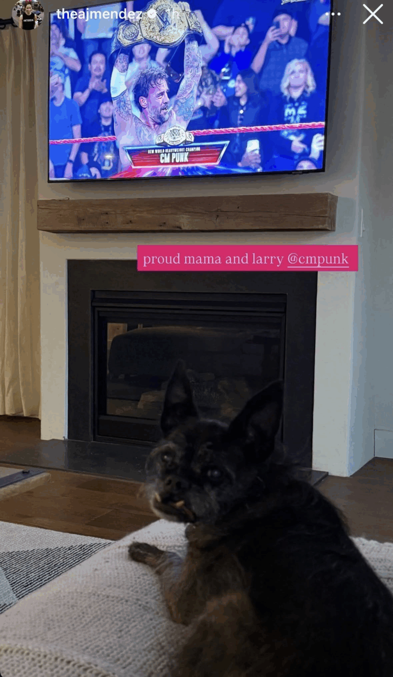 AJ Lee Reacts To CM Punk’s World Heavyweight Championship Win